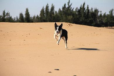 Steam Deck竞争者？MSI CLAW掌机硬件配置细节泄露